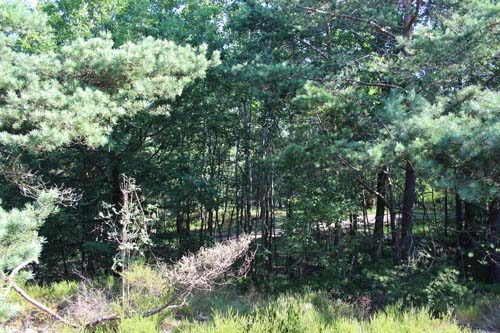 Här låg sportstugan