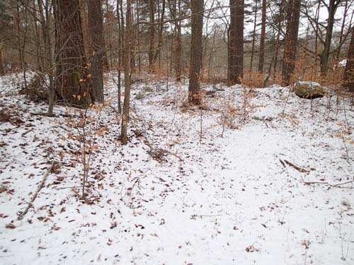 Uppe på den lilla höjden finns en tydlig sträckning av hålvägen. Foto: Per Hallén 2013.