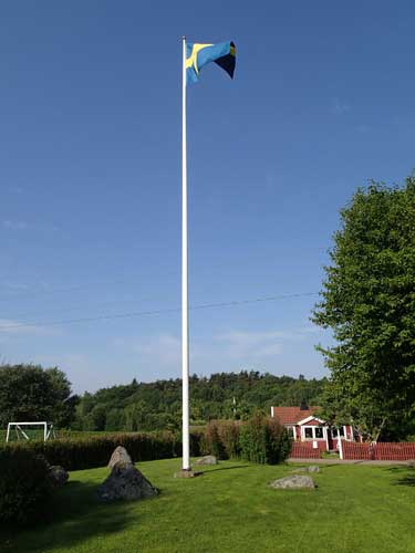 Flagga i domarringen