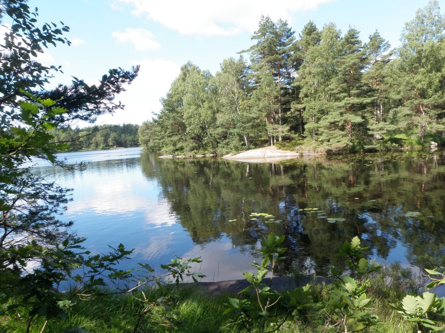 Idag får man ta sig under vattenytan för att hitta spåren av kospängerna.