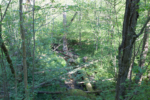 Iskällarelidens bebyggelse är redan under början av maj dold bakom grönskan.