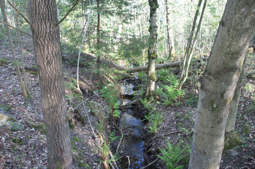 Närmast golfbanan ser kanalen ut så här.