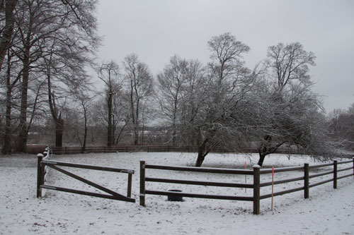 Denna hage, en del av den gamla trädgården, kommer att byggas om till P-plats. Foto: Per Hallén 2014