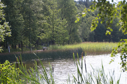 Stilla förmiddag vid Edsviken. Foto: Per Hallén 2014