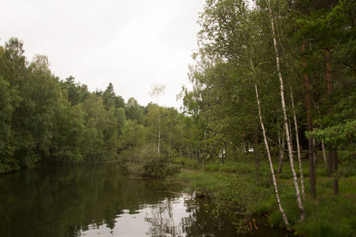 Utmed Edsån mellan Stora och Lilla Delsjön har flera fynd av flinta gjorts. Foto: Per Hallén 2014