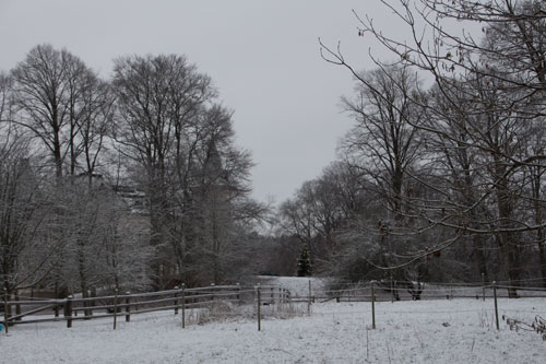 Julfint vid Stora Torp. Foto: Per Hallén 2014