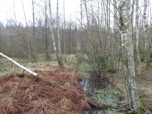 Det är blött i markerna kring Kalvkärr. Foto: Per Hallén 2014