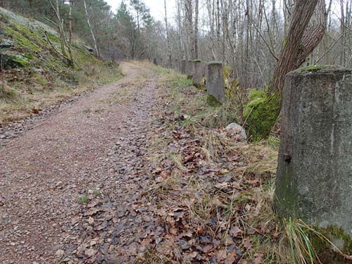 Vägen upp till hoppbacken skulle säkerligen ha blivit bredare om det byggts ett observatiorium. Foto: Per Hallén 2014