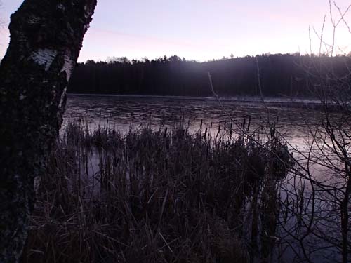 En tunn hinna av is hade lagt sig på vattenytan denna söndag.