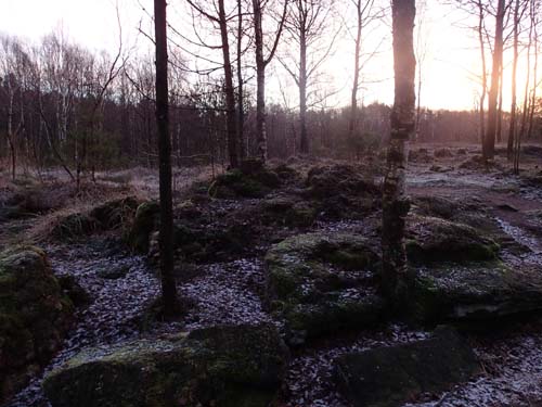 Idag kunde jag se att de sista trollen vid milspåret har försvunnit. Foto: Per Hallén 2014