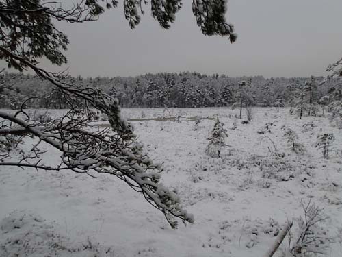 Hela Ugglemossen var snötäckt. Foto: Per Hallén 2014