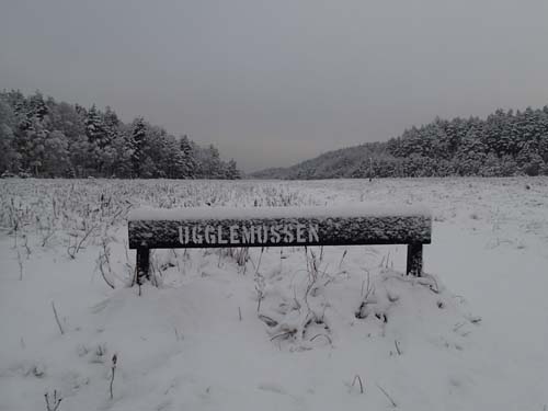 Foto: Per Hallén 2014