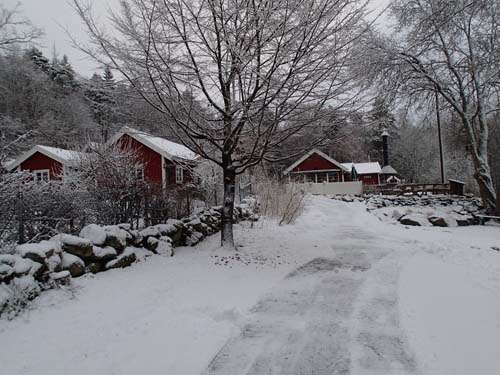Delsjökärr och Bertilssons stuga. Foto: Per Hallén 2014