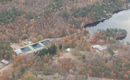 Foto: Per Hallén 2012.