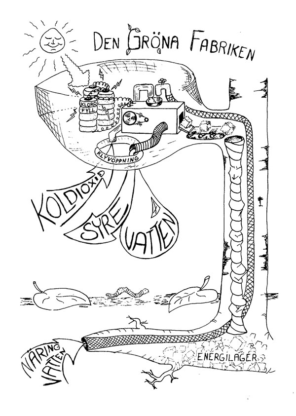 Den Gröna Fabriken, illustration ur Upptäck Delsjön 1988