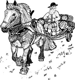 En av de beryktade lasskörarna. Illustration ur Upptäck Delsjön.