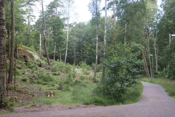 Station 1. Foto: Per Hallén 2015