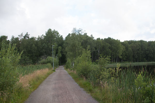 Vägbanken över Svarttjärn till station 10. Foto: Per Hallén 2015