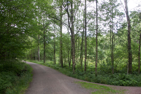 Station 12, men inga häxkvastar syntes till. Foto: Per Hallén 2015