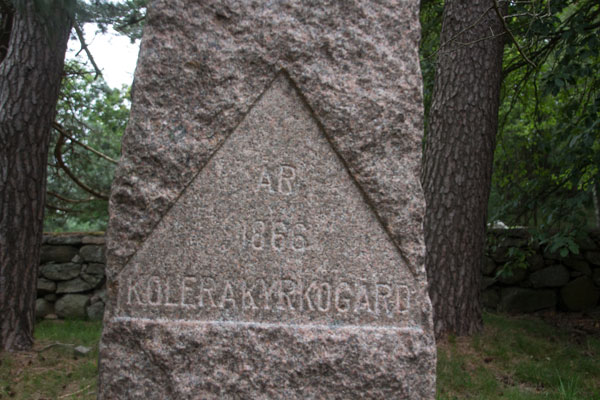 Stenen som restes över offren efter koleran 1866 i Örgryte. Foto: Per Hallén 2015