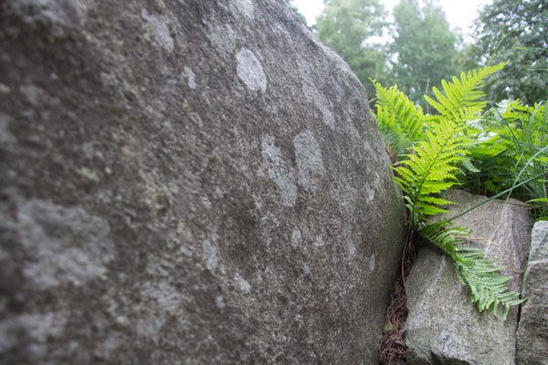 Skålgroparna i gavelhällen i hällkistan nämns inte i "Upptäck Delsjön". Foto: Per Hallén 2015