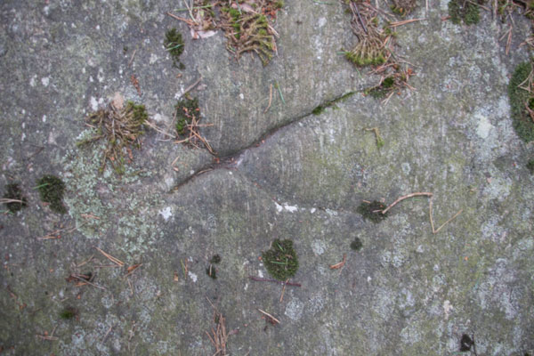 Närbild på en av "runorna". Foto: Per Hallén 2015