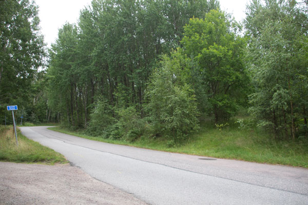 Gamla Boråsvägen, till höger ser du hur den äldre vägen svängde tvärt höger upp i än brantare backar. Ett lämpligt ställe för ett överfall! Foto: Per Hallén 2015