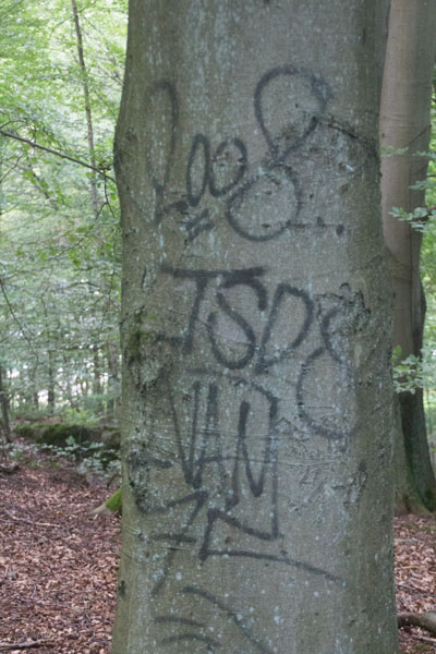 Idag används andra metoder att klottra på träden i området! Foto: Per Hallén 2015