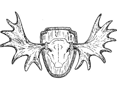 Huberts krona - illustration ur "Upptäck Delsjön"