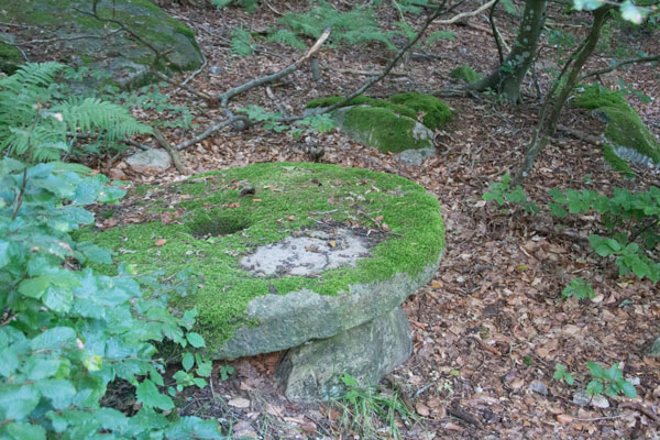 Kvarnstenen. Foto: Per Hallén 2015