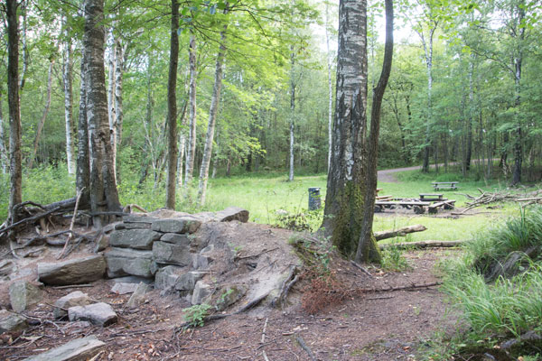 Foto: Per Hallén 2015