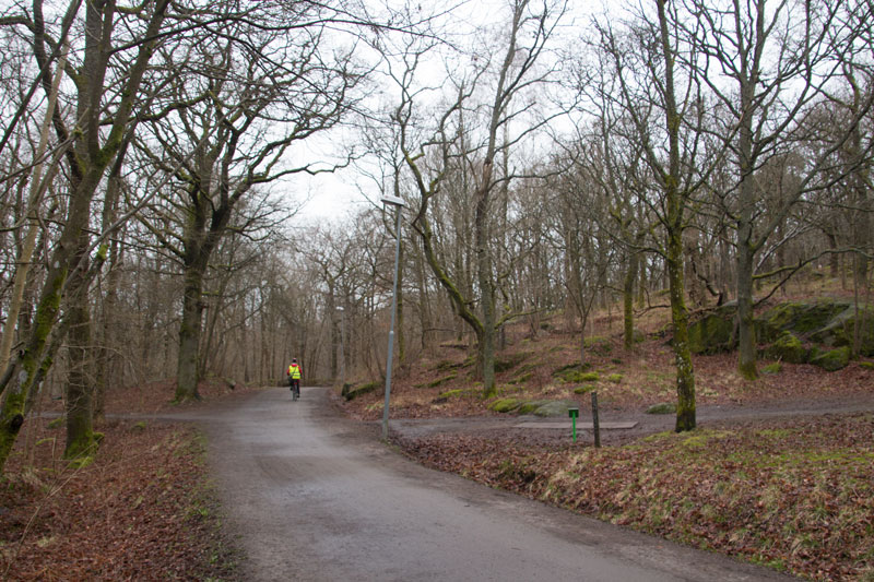 Till vänster om vägen ned mot Apsätten, där cyklisten passerar, låg torpet Sandhåla. Foto: Per Hallén 2016