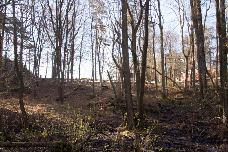 När man står på den naturliga nivån blir dammens höjd mycket tydlig.