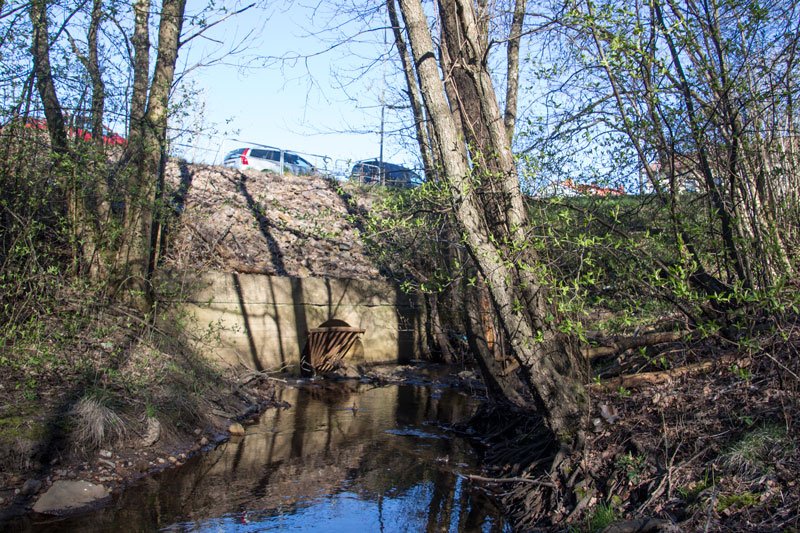 Vid Lilla Torpsgatan försvinner bäcken in i en kulvert. Foto: Per Hallén 2016