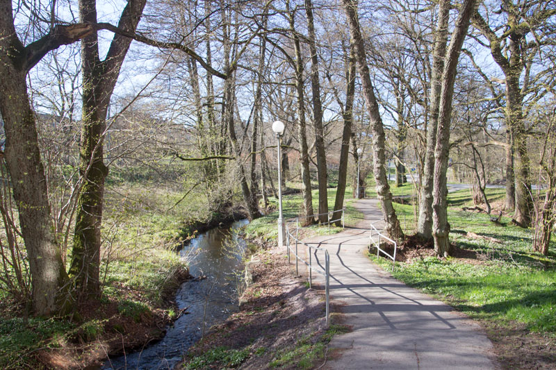 Vårvackert utmed Storebäcken. Foto: Per Hallén 2016