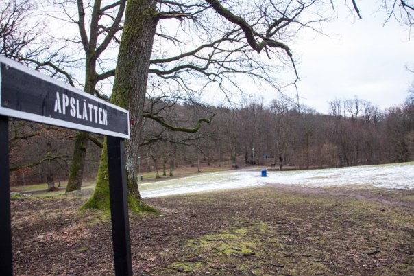 Apslätten. Foto: Per Hallén 2015