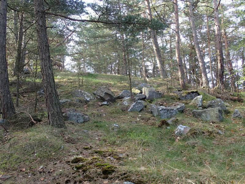 En bit ned i sluttningen ligger fler stenar som tidigare utgjorde grunden för Blå Tornet. Foto: Per Hallén 2016.
