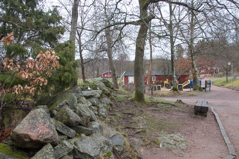 Stenmuren från laga skiftet är ännu väl synlig mitt i Skatås. Foto: Per Hallén 2016