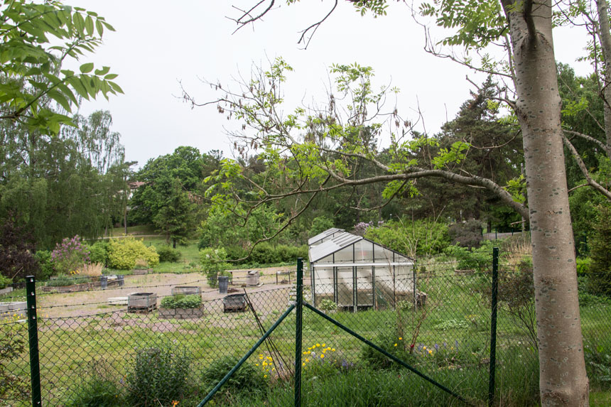 Dagens växthus i parken. Foto: Per Hallén 2016.