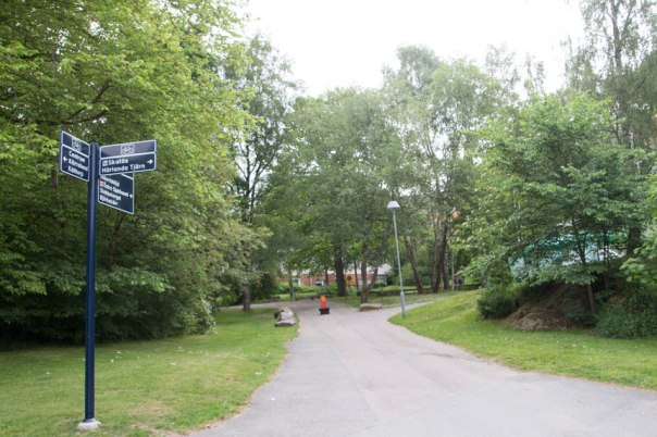 Foto: Per Hallén 2016.