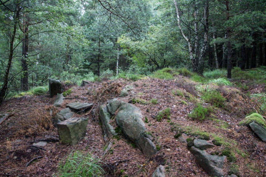 Skärvstenslämningar vid Kattberget. Foto: Per Hallén 2016