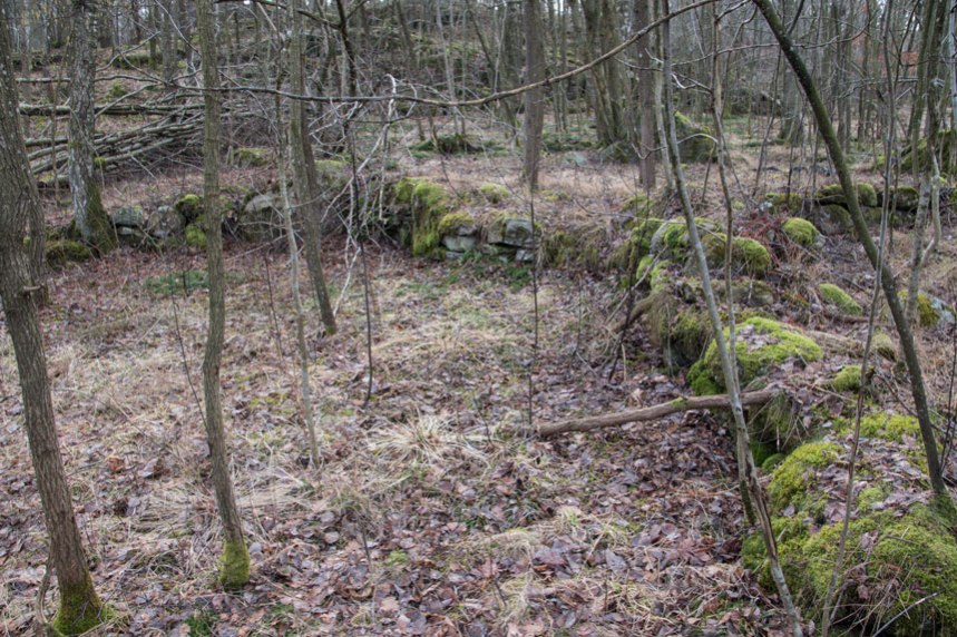 Lämningar efter de terrasser som byggdes för tälten. Foto: Per Hallén 2016