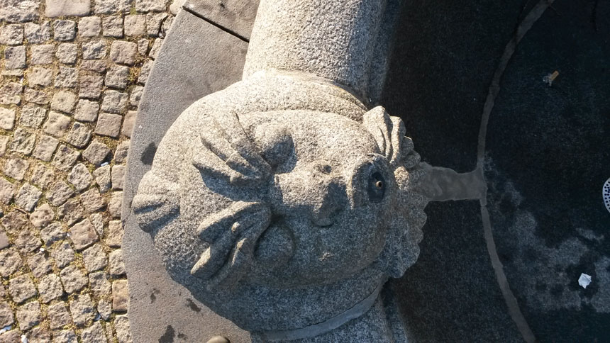 Sjötroll, foto: Per Hallén 2017.